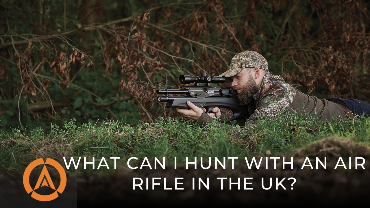 What Can I Hunt with an Air Rifle in the UK?